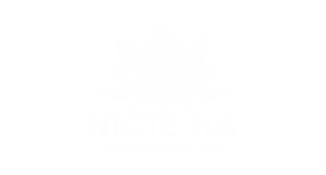 NICTE-HA